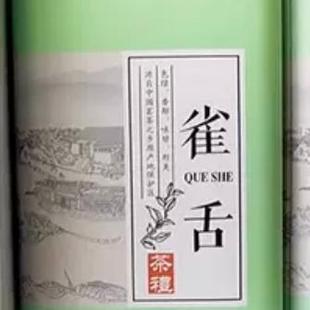 新品 250g雀舌包装 盒空铁盒茶叶盒茶叶桶金属罐铁罐子 包邮
