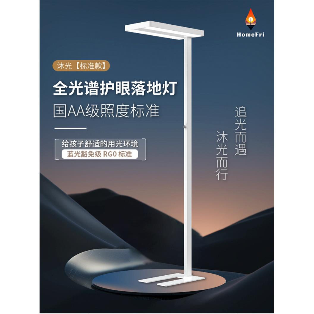 HomeFri沐光基础款全光谱护眼落地灯儿童阅读学习大路灯客厅卧室