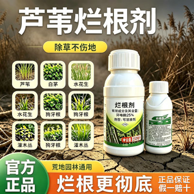 环嗪酮喷雾强力除草烂根灭芦苇