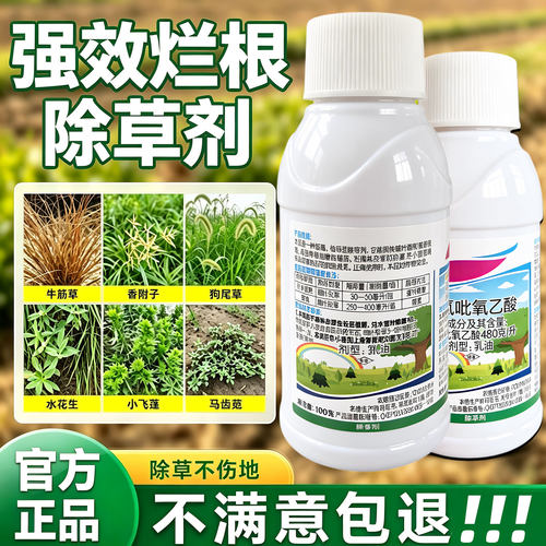 高浓度强力除草喷雾开荒灭草