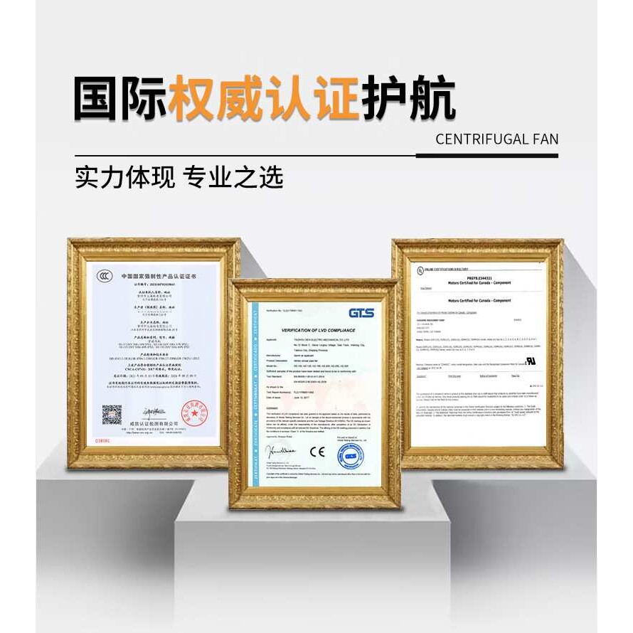 VFC408PF-S带UL认证曝气气泵真空吸附配套DG-400-46