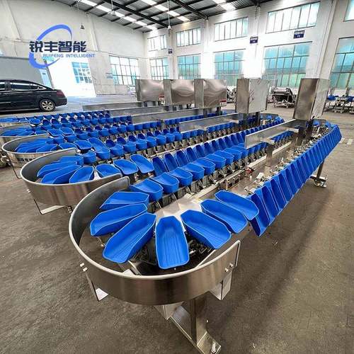 橄榄分级机姑娘果分选机西蓝花挑选樱桃分选机无花果自动分选机