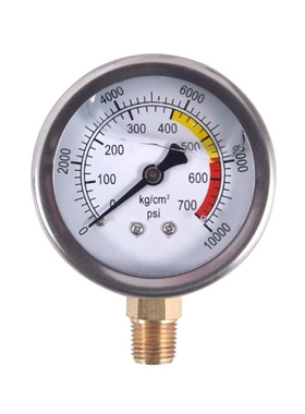 不锈钢耐震压力表Y-103BFZ YN-100ZT轴向盘装