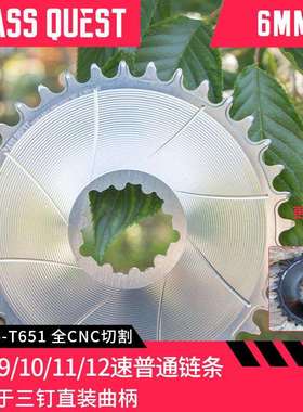 PASSQUEST速联gxp6mm偏心封闭牙盘直装山地车盘片正负齿单盘dub