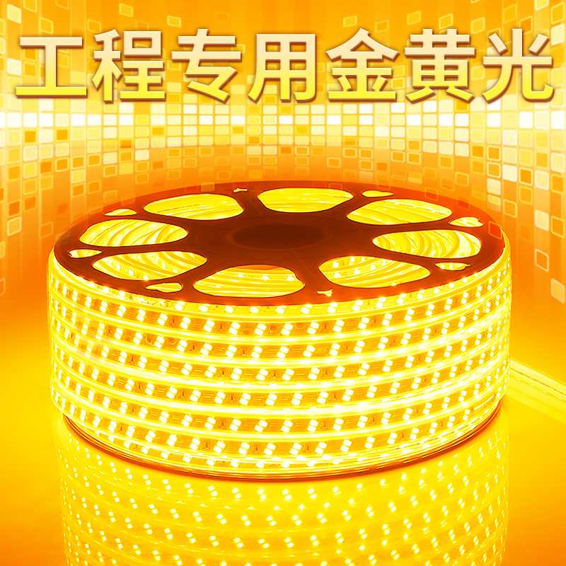 超亮led金黄光灯带工程亮化景观庭院220V外墙室外酒店KTV户外防外