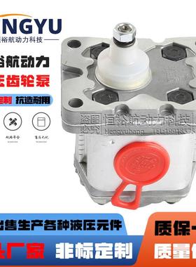 马祖奇油泵MARZOCCHI齿轮泵0.5D1.000.25D181PD3.31PD5液压泵