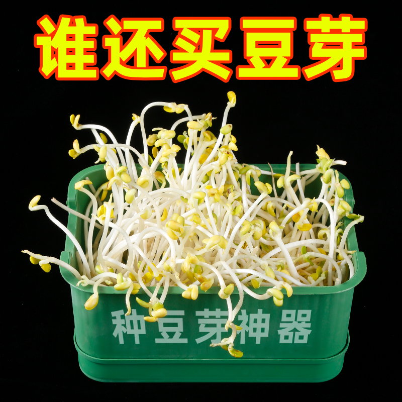 育苗盘大容量家用豆芽机