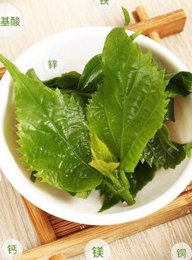 新货神仙豆腐专用粉绿色健康树叶凉粉翡翠凉粉正宗斑鸠叶干粉观音