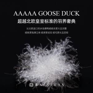 百思寒冰城雁鸭绒被95羽绒被子被芯冬被春秋空调被子母被加厚结婚