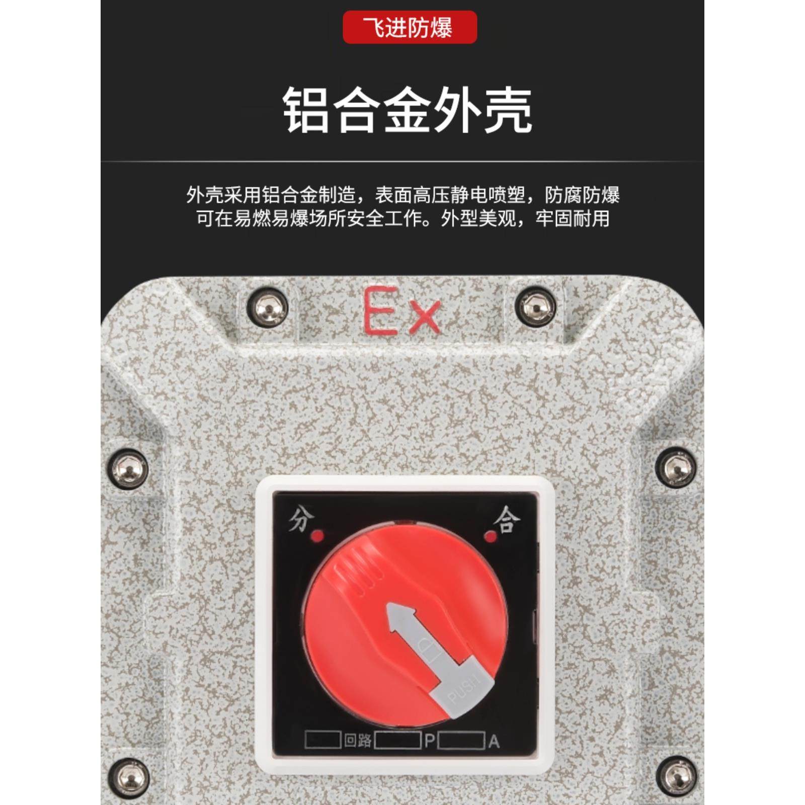 防爆断路器配电箱防爆空气开关10A25A32A63A 控制箱漏电保护空开