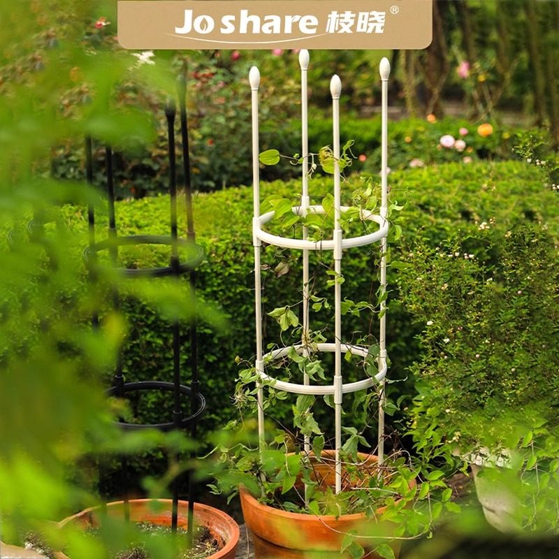 花架爬藤架铁线莲藤本月季风车茉莉植物架花柱架子园艺花支架