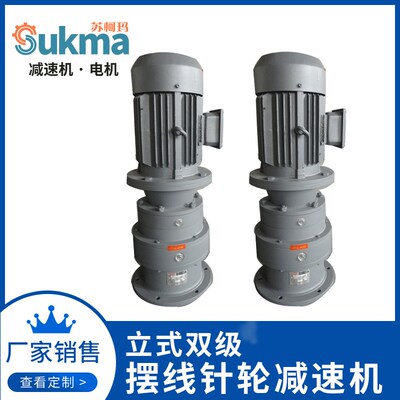立式双级摆线针轮减速机BLED XLED带法兰带电机支持订做厂家销售