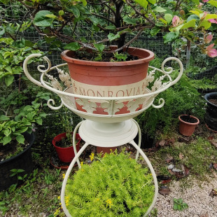 复古铁艺花架装 饰奖杯花柱台室内户外植物盆栽绿萝吊兰落地花盆架