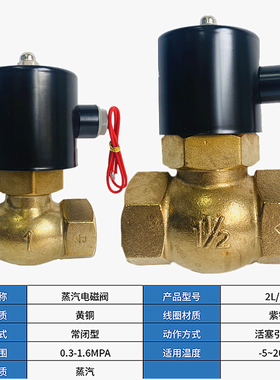 高温蒸汽电磁阀4分6分1寸220V24VDN15两通阀2L/US-15/20/25控制阀