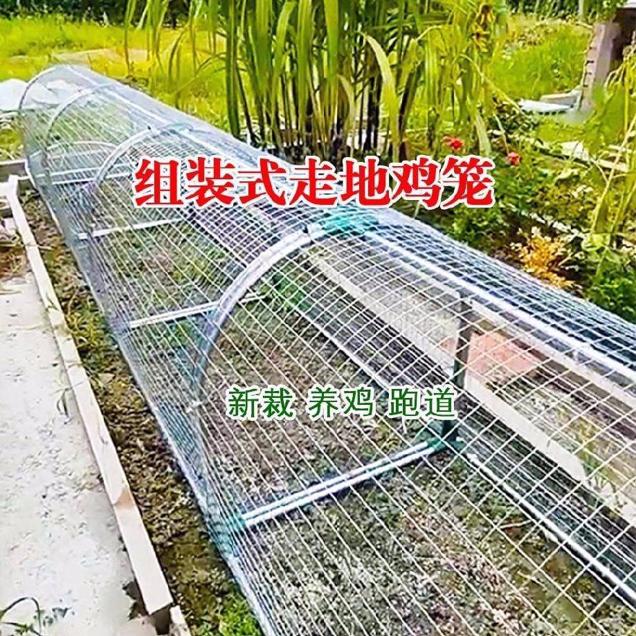 铁网鸡笼兔笼跑道养鸡隧道笼子农场户外溜达鸡笼子庭院农家用散养