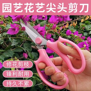 园艺剪刀家用剪树枝剪花剪纸专用剪刀修剪剪刀手工花艺剪刀修枝剪