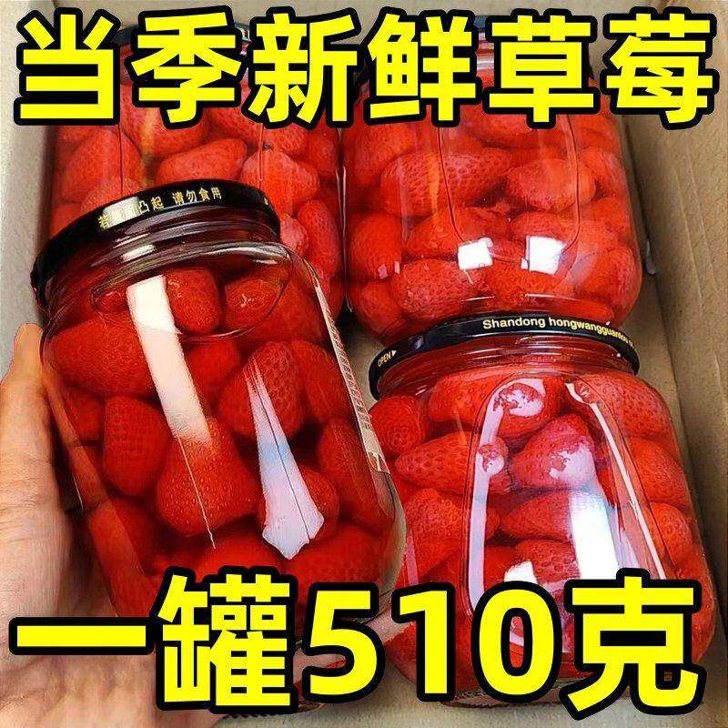 草莓罐头510g新鲜罐装休闲儿童零食玻璃瓶办公室解馋水果罐头