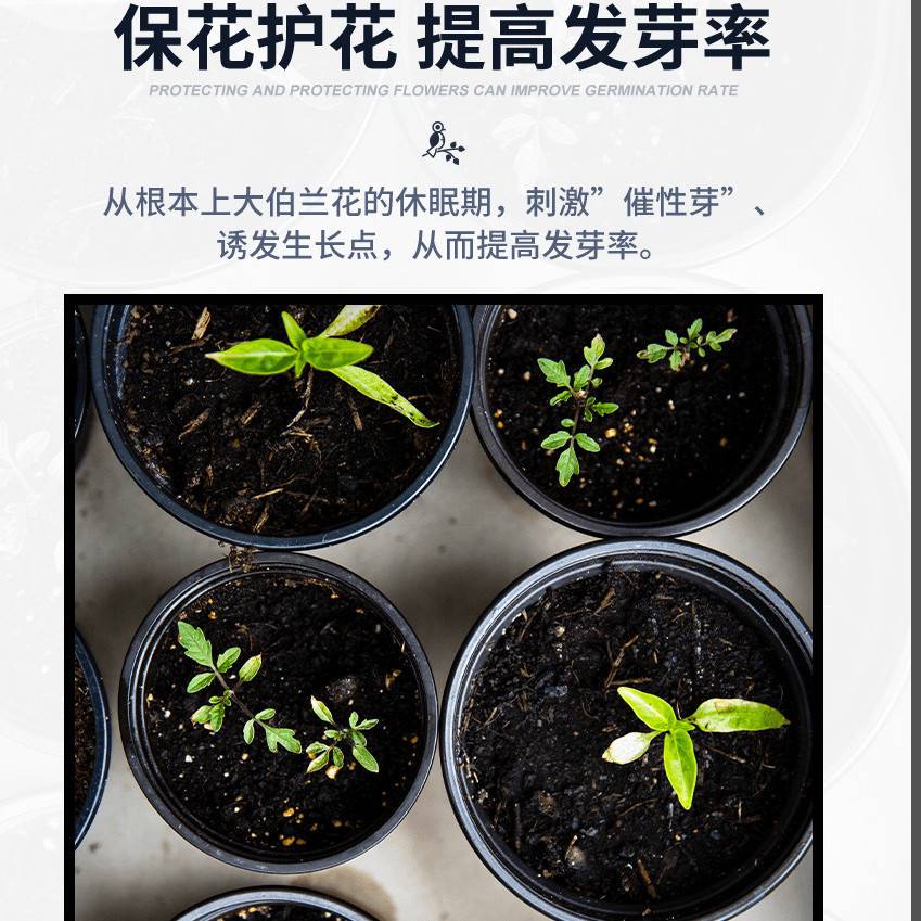 兰灵王促花科活化剂 兰花专用营养液肥料e菌兰陵王促花君子兰蝴蝶