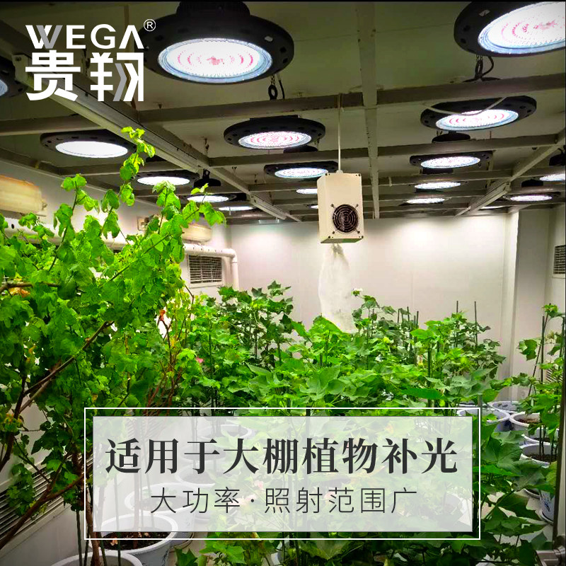 贵翔 全光谱生长灯多肉补光灯飞碟式室内卉仿太阳光