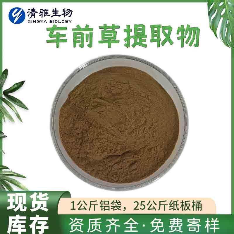 车前草提取物10:1车前子/车轮草提取物现货免邮车前草粉1kg起