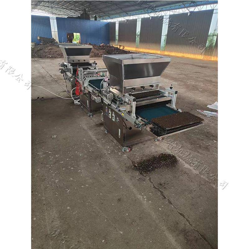 蔬菜种子穴盘育苗播种机全自动育苗覆土点种机半自动穴盘点籽机