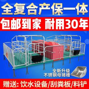 母猪产床国标32粗复合板单双体产保一体两用定限位栏保育床猪设备
