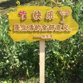 木质爱护花草牌绿化草坪花园广告户外公园社区景区温馨提示标识牌