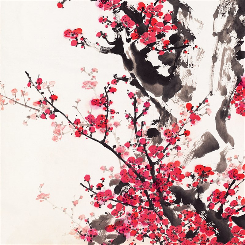 董寿平报春图梅花国画横幅花鸟字画名画微喷复制品宣纸画芯未装裱
