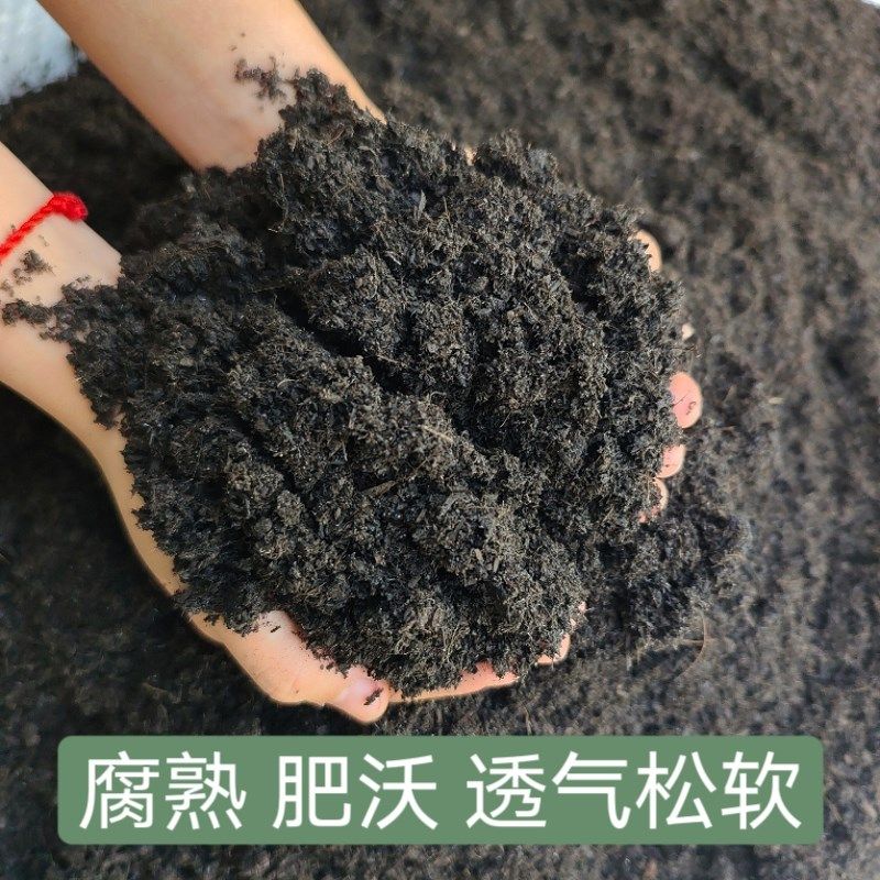 养花腐殖土养花专用土兰花多肉营养土种菜土通用型腐叶种植土盆栽,鲜花速递/花卉仿真/绿植园艺,介质/营养土,淘宝优惠券,粉丝福利购,淘宝优惠卷