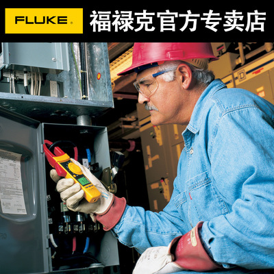 FLUKE福禄克钳形表万用表F302 303 F312 317 319数字高精度电流表