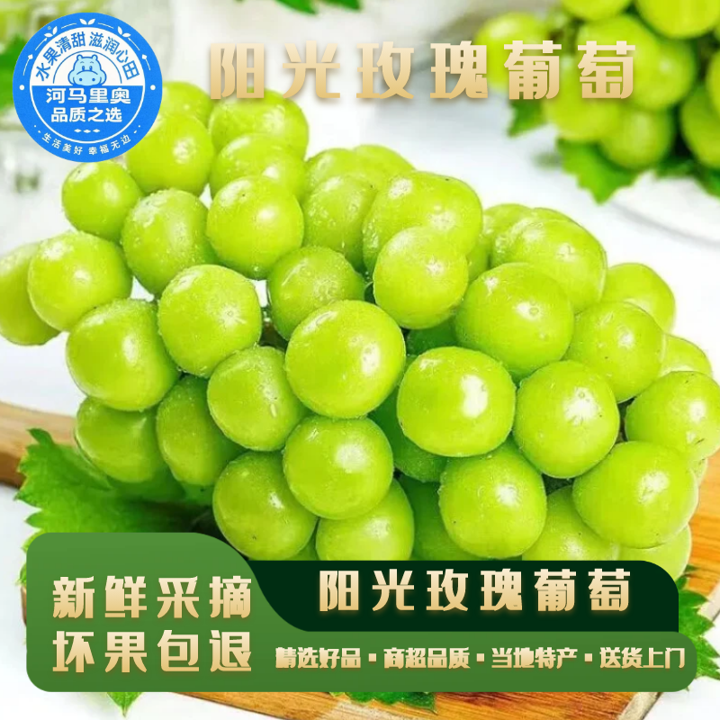 河马水果阳光玫瑰葡萄5斤