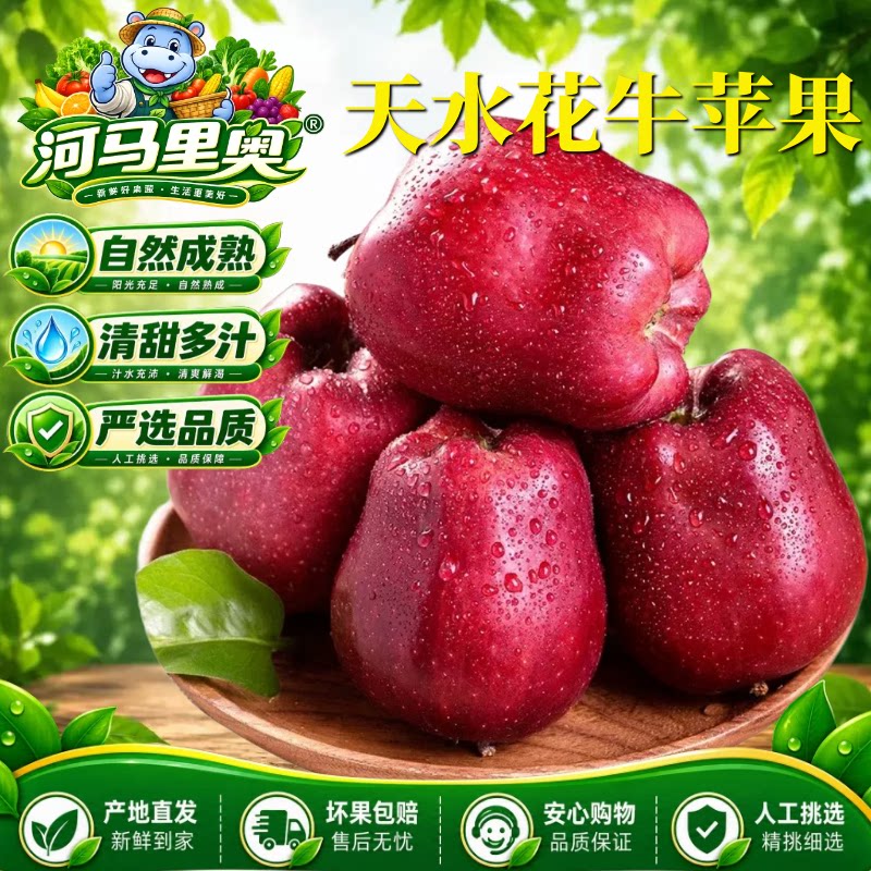 河马水果甘肃天水花牛苹果