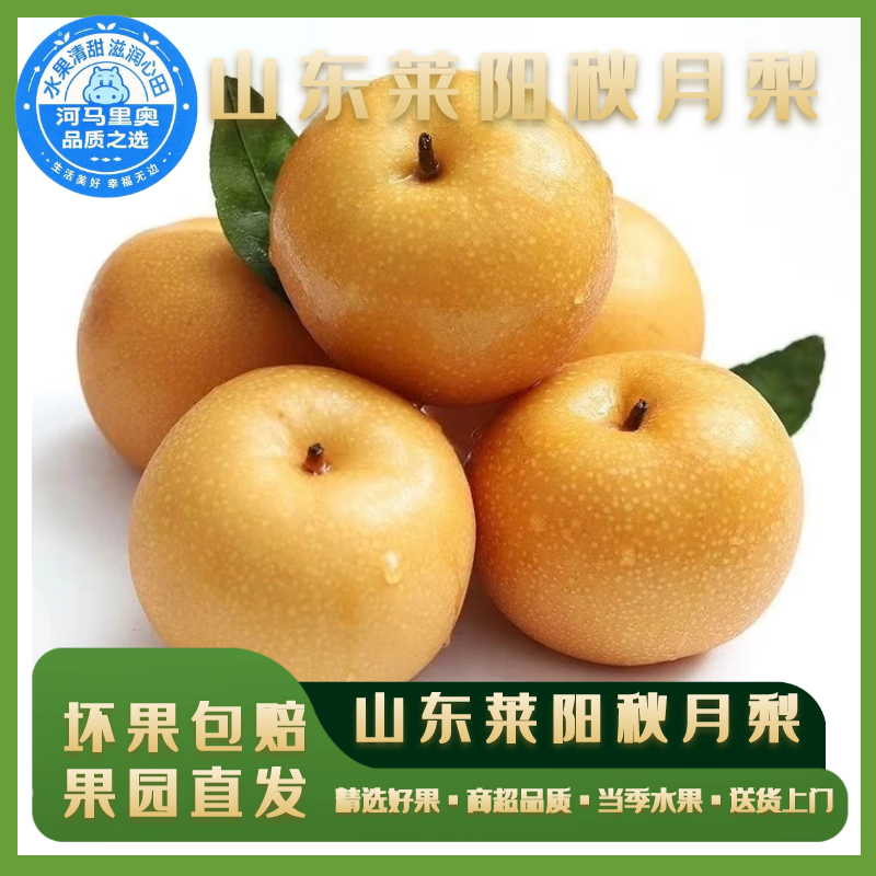 河马水果山东莱阳秋月梨5斤新鲜冰糖梨当季生梨摘发礼盒包甜产地