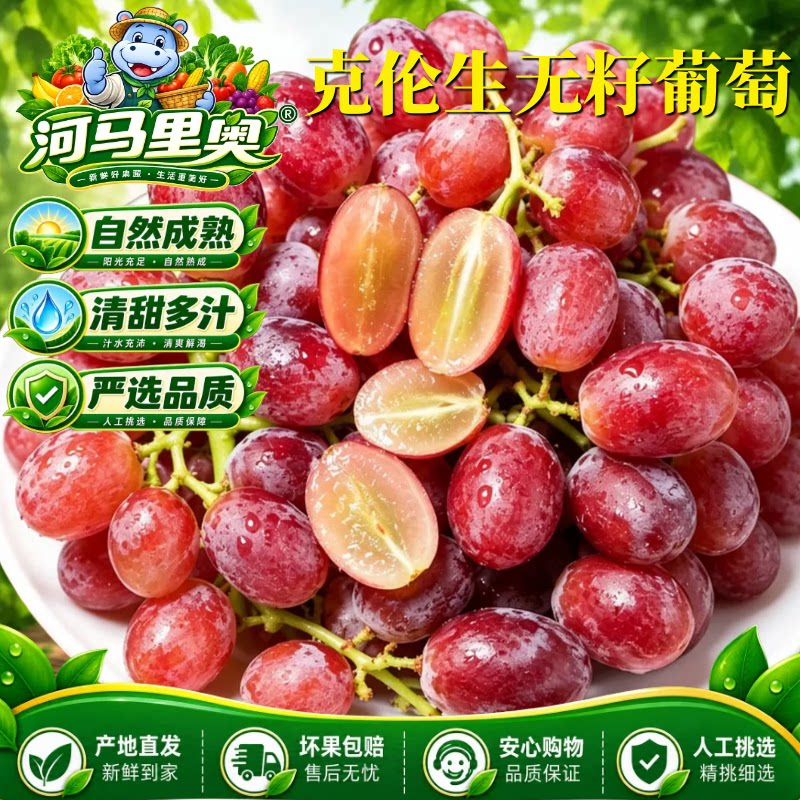 河马新疆无籽正宗克伦生葡萄红提