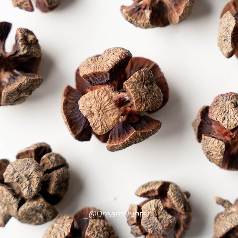 足球果天然植物标本干花果实diy装饰品节日布置干花永生花环香薰