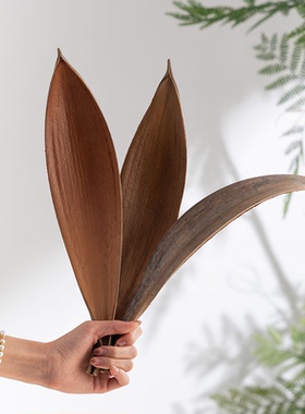 可可叶天然植物叶子托盘桌面摆件拍照道具民宿样板房茶室会所装饰