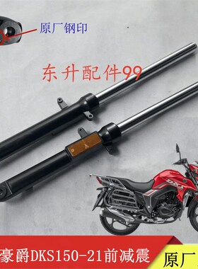 适用摩托车电喷DK5n0 HJ150-21未来战车前减震 避震器 前叉