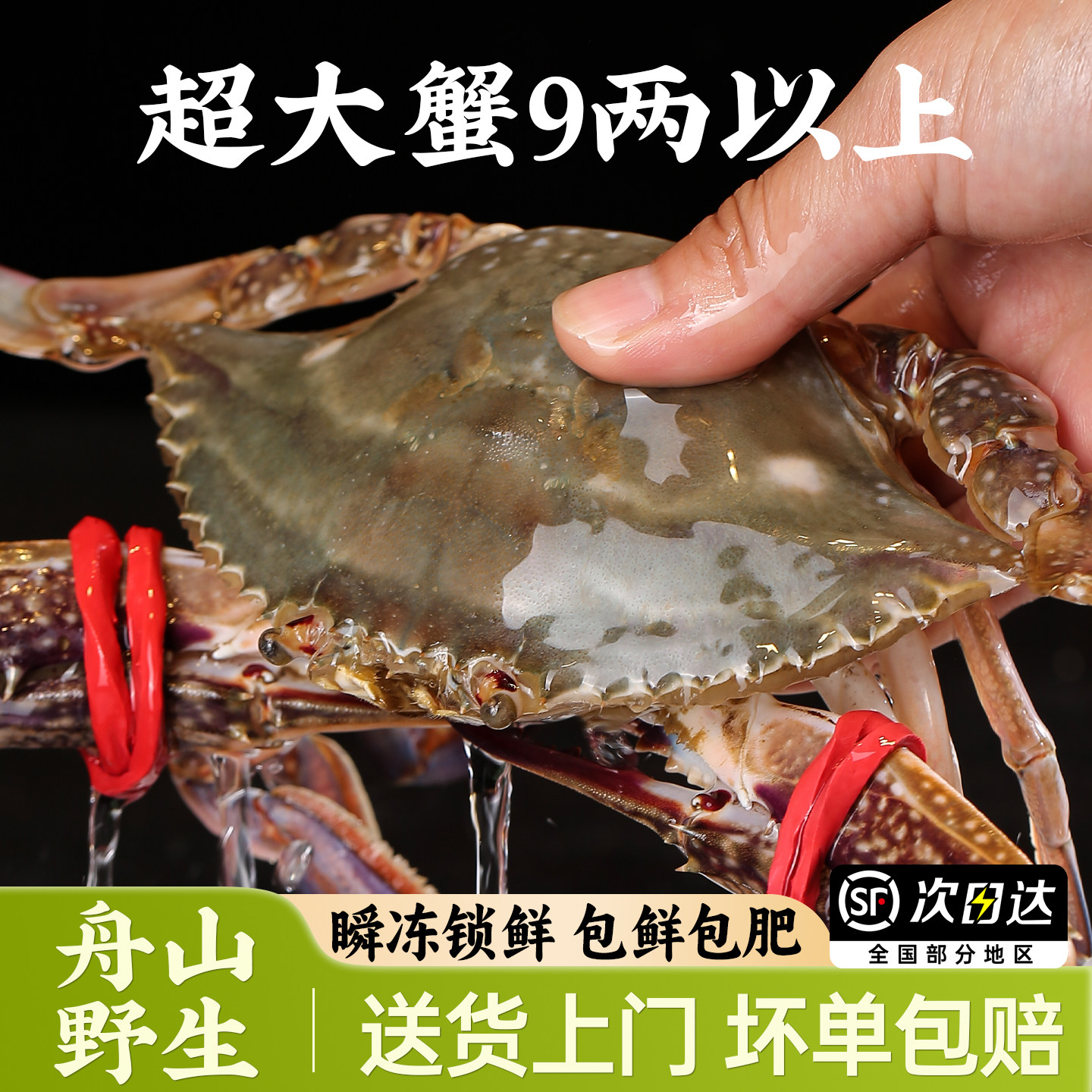 梭子蟹舟山新鲜野生大螃蟹海鲜冷冻蟹海鲜水产海蟹白蟹飞蟹顺丰