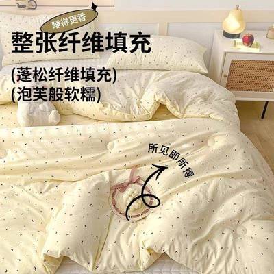 水洗棉z88888被子冬被被人夏凉被空调被春秋芯生学单双人夏被褥四