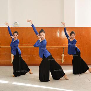 北舞同款专业古典舞巡礼身衣舞蹈服纱徒手基训韵舞练功剑服表演服