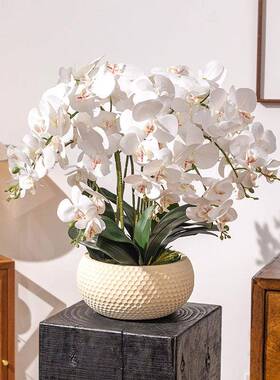 HY09145掬蝴蝶兰仿涵花艺摆件盆景套装真客厅餐茶几桌假花插花绢