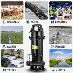 切割式水泵220V污化粪池抽泥浆排泵家粪用农用污灌溉大流量抽污水