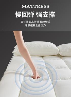 洲CLY际半岛大豆床纤维垫酒店专用软A垫子类防螨家用褥垫宿舍垫床
