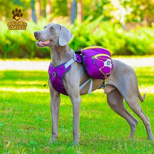 狗狗自背包大型犬金毛书包外出便携宠物狗背包驮包胸背带大狗背包