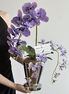 紫色蝴蝶兰花艺仿真花假花装饰花摆设客厅餐桌摆件餐桌花摆花装饰