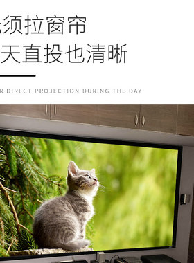 NEC投影机灯泡NP-V260W+ CD1100 CD1100X CD1110 CD3100H U321H V