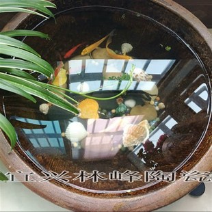 水缸 园林装 晒酱 土陶鱼缸 饰 腌菜缸 宜兴陶器