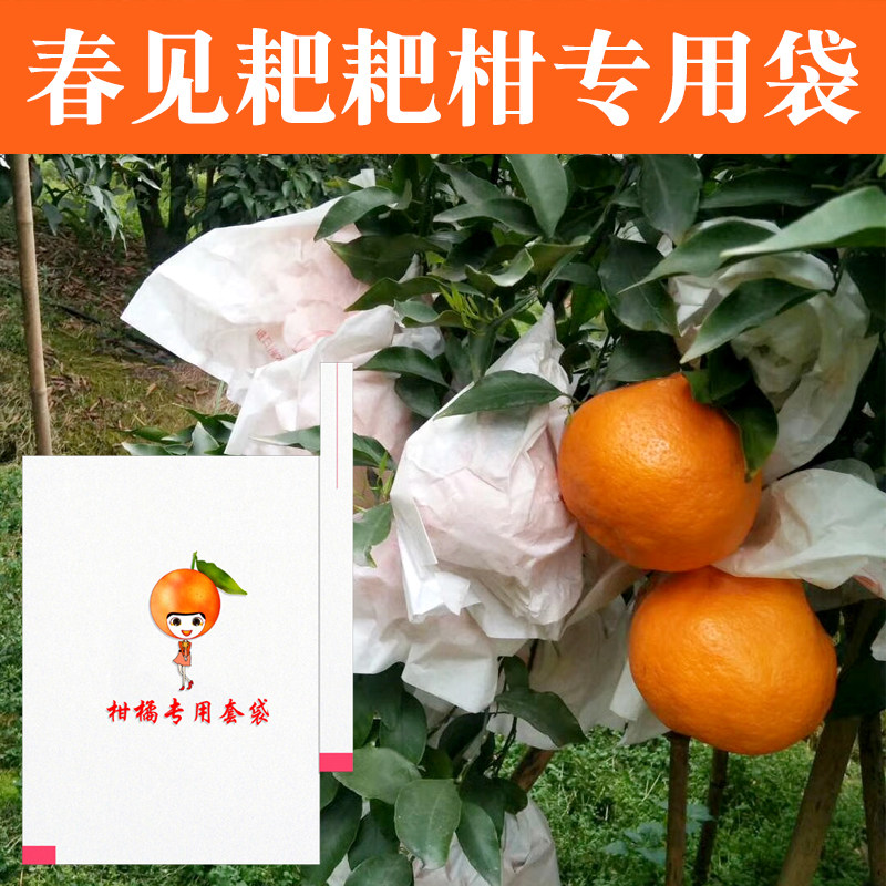 春见耙耙柑柑橘袋袋防鸟防虫袋脐橙红美果袋防水防雨袋