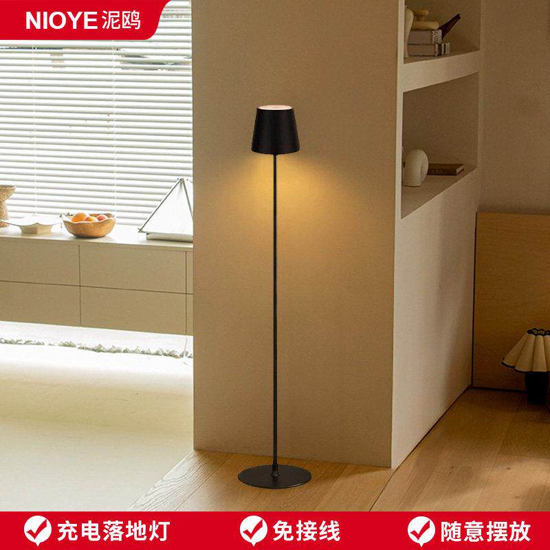 充电落地灯客厅沙发旁边轻奢高级感立式装饰卧室床头氛围落地台灯