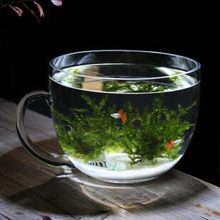 美人鱼创意大碗鱼缸玻璃加厚金鱼缸热带鱼缸桌面鱼缸办公家用鱼缸